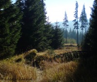 /album/fotogalerie-cestou-/dsc00863-jpg/