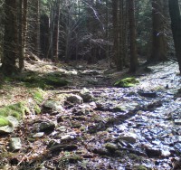 /album/fotogalerie-cestou-/dsc01313s-jpg/