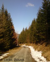 /album/fotogalerie-cestou-/dsc02565s-jpg/