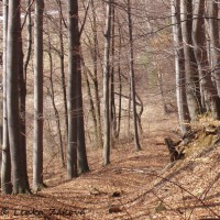 /album/fotogalerie-cestou-/p3280064s-jpg/