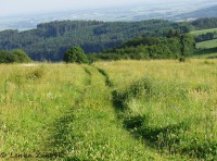 /album/fotogalerie-cestou-/p6200043s-jpg/