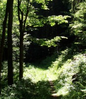 /album/fotogalerie-cestou-/p6240018s-jpg/