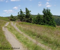 /album/fotogalerie-cestou-/p7180002s-jpg/