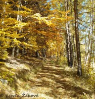 /album/fotogalerie-cestou-/wp-000494s-jpg/