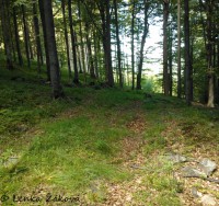 /album/fotogalerie-cestou-/wp-002687s-jpg/